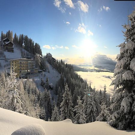 Sonnenhotel Zaubek Treffen Buitenkant foto