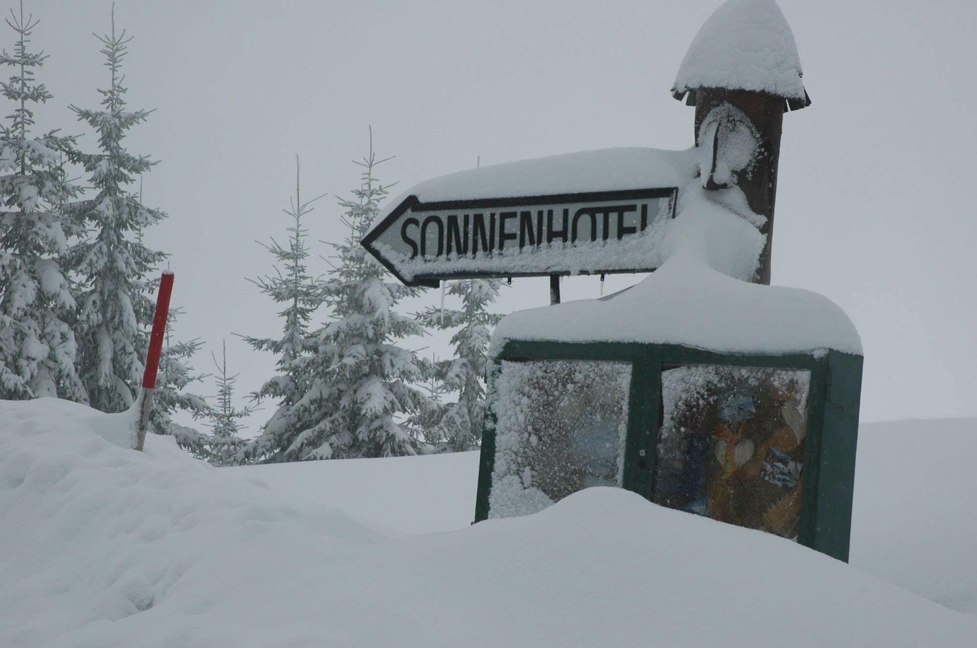 Sonnenhotel Zaubek Treffen Buitenkant foto